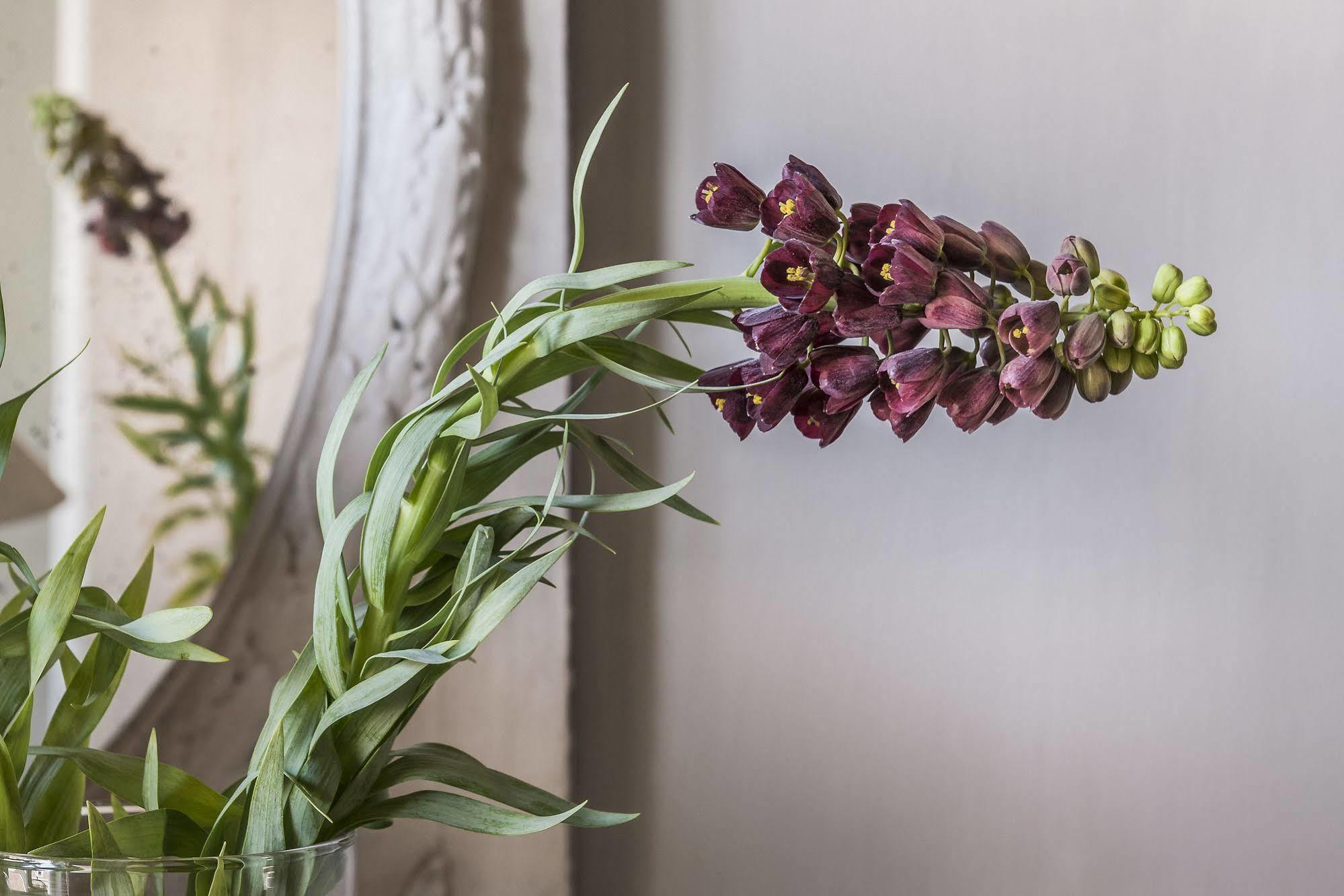 Hign-End Getaway In Heart Of Medieval Bruges - Katelijne Extérieur photo